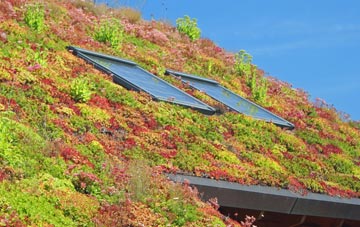 Gubblecote living roof systems